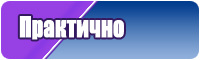 Толстовка с шортами